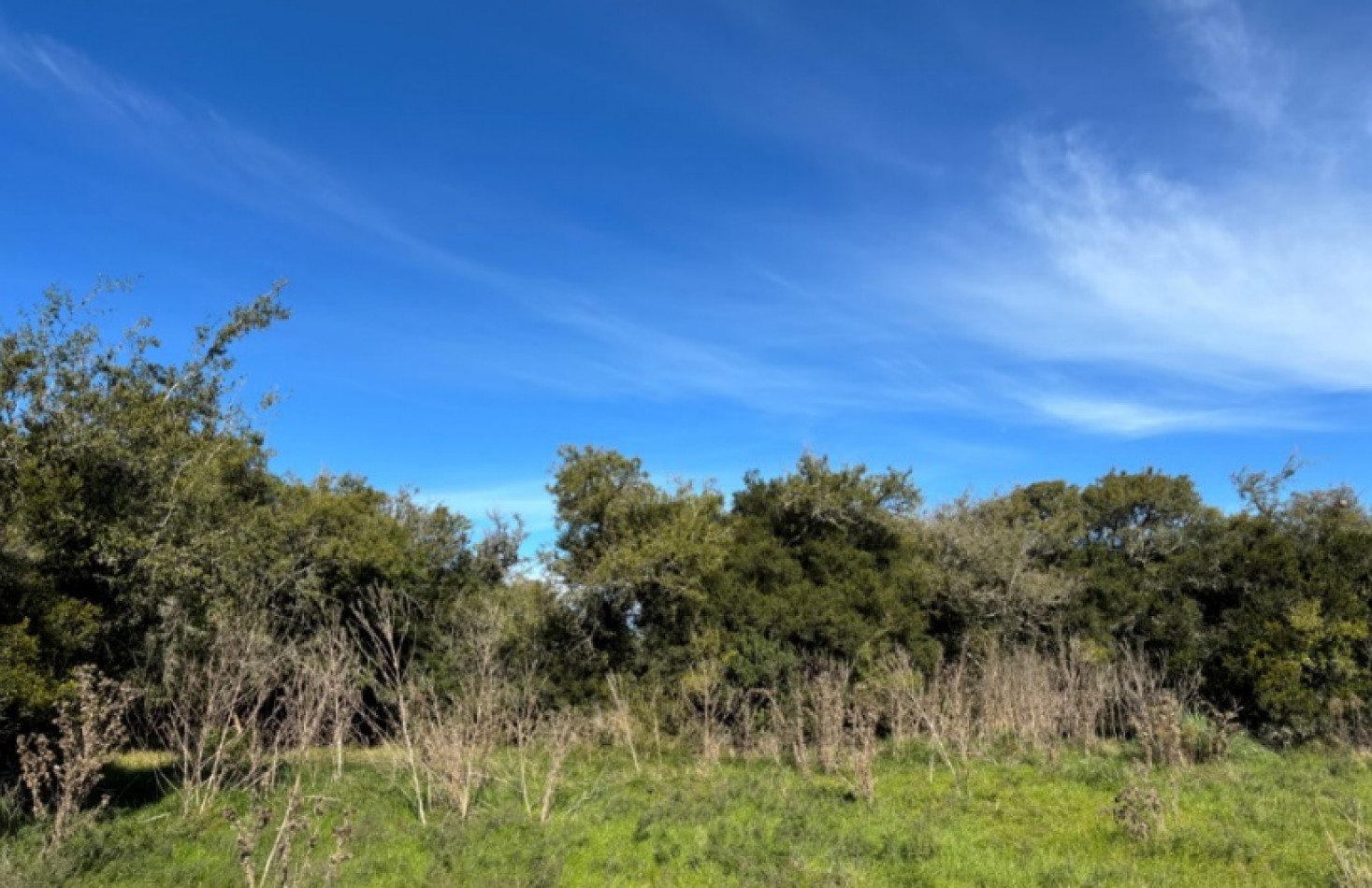 EN VENTA - PINAMAR - CHACRA EN BARRIO LAGUNA EL ROSARIO 8000m2