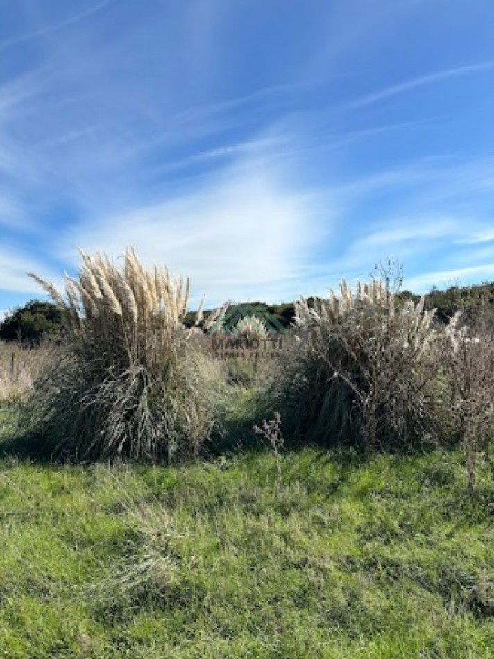 EN VENTA - PINAMAR - CHACRA EN BARRIO LAGUNA EL ROSARIO 8000m2