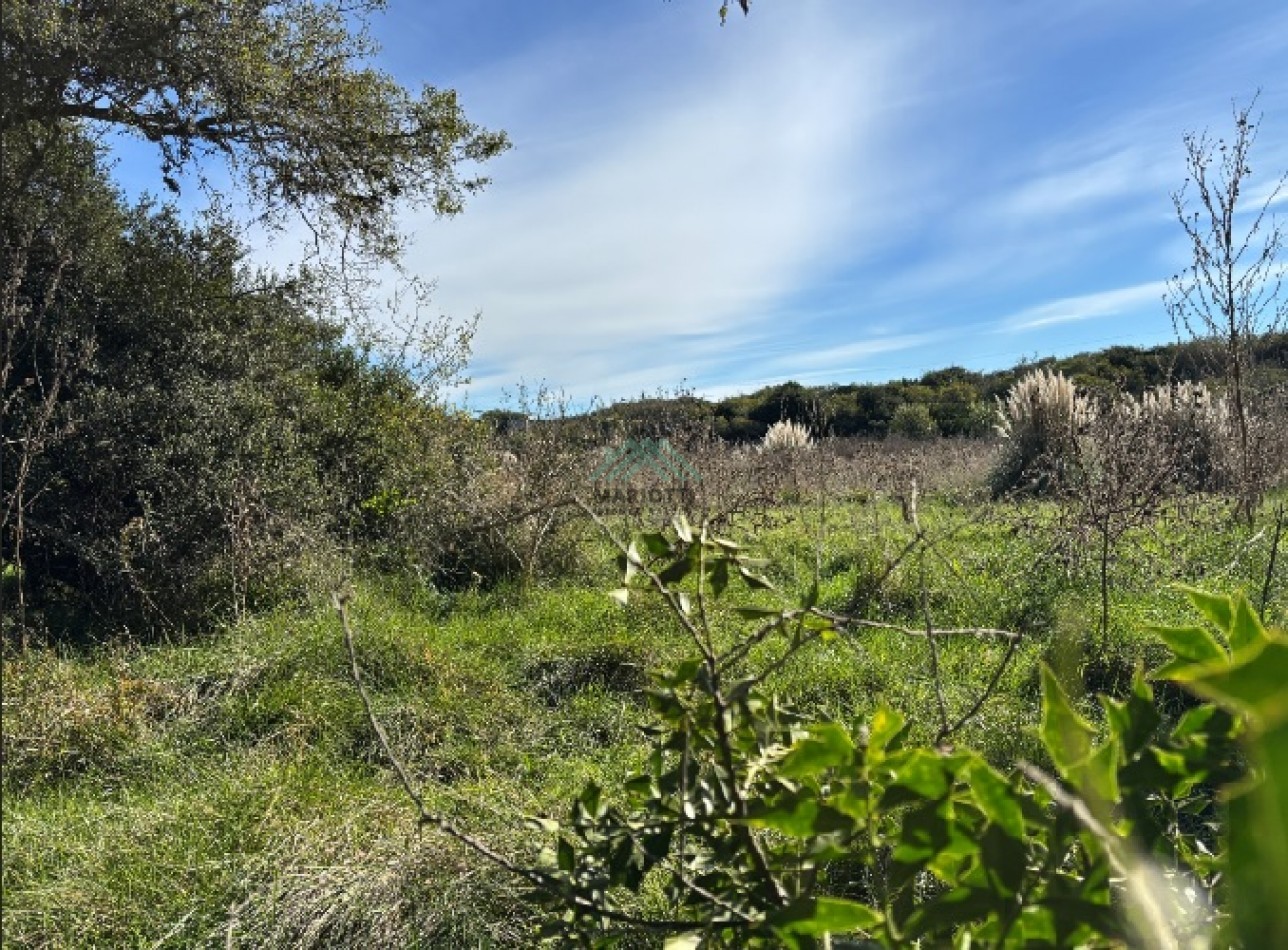 EN VENTA - PINAMAR - CHACRA EN BARRIO LAGUNA EL ROSARIO 8000m2