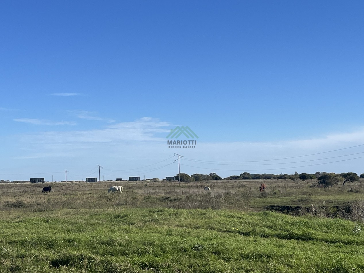 EN VENTA - PINAMAR - CHACRA EN BARRIO LAGUNA EL ROSARIO 8000m2