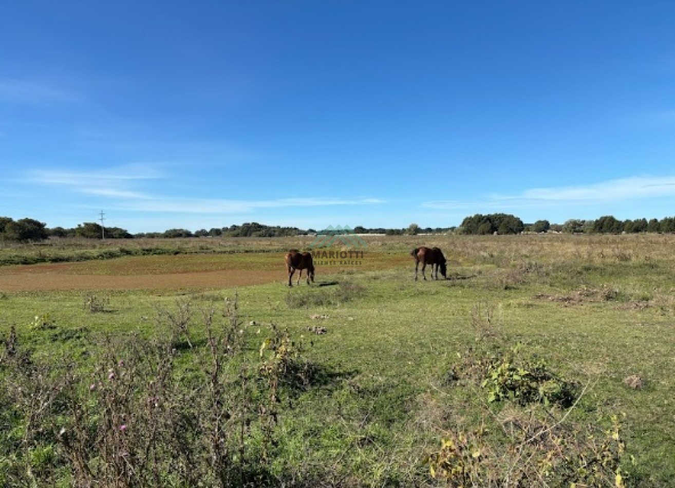EN VENTA - PINAMAR - CHACRA EN BARRIO LAGUNA EL ROSARIO 8000m2