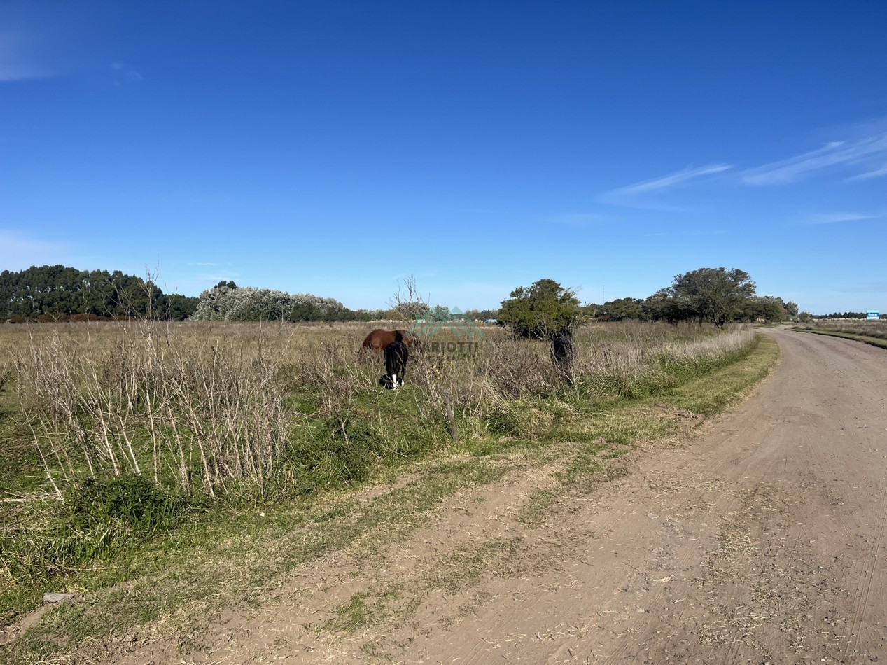EN VENTA - PINAMAR - CHACRA EN BARRIO LAGUNA EL ROSARIO 8000m2