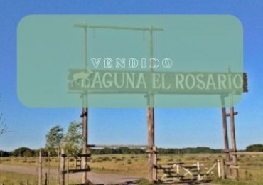 EN VENTA - PINAMAR - CHACRA EN BARRIO LAGUNA EL ROSARIO 8000m2